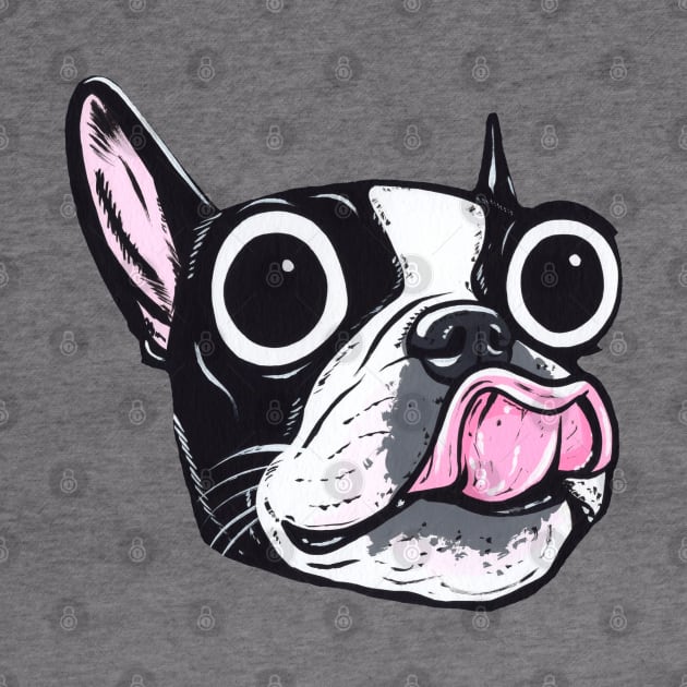 Boston Terrier Face by turddemon